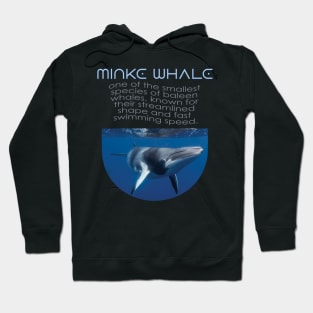 Alaska Whale Watching Hoodie